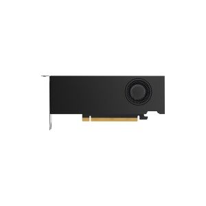 HP NVIDIA RTX A2000 - Grafikkort - RTX A2000 - 12 GB GDDR6 - PCIe 4.0 x16 - 4 x Mini DisplayPort - for Workstation Z2 G9, Z4 G4, Z4 G5, Z6 G4, Z6 G5, Z8 G4, Z8 G5