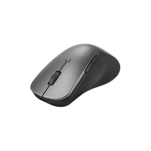 Lenovo Professional - Mus - ergonomisk - blå optisk - 6 knapper - trådløs - Bluetooth 5.1 - stormgrå