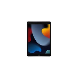 Apple 10.2-inch iPad Wi-Fi - 9. generation - tablet - 256 GB - 10.2 IPS (2160 x 1620) - space grey