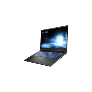 Medion ERAZER Scout E20 MD62521 - Intel Core i5 - 13420H / op til 4.6 GHz - Win 11 Home - GF RTX 4050 - 16 GB RAM - 512 GB SSD NVMe - 17.3 IPS 1920 x 1080 (Full HD) - Wi-Fi 6E, Bluetooth - sort - kbd: Nordisk