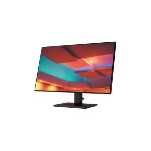 Lenovo ThinkVision P27q-20 - LED-skærm - 27 - 2560 x 1440 QHD - IPS - 350 cd/m² - 1000:1 - 4 ms - HDMI, DisplayPort - ravnsort - Campus