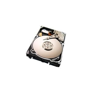 Seagate Constellation.2 ST91000640NS - Harddisk - 1 TB - intern - 2.5 - SATA 6Gb/s - 7200 rpm - buffer: 64 MB