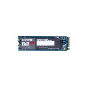 Gigabyte Technology Gigabyte - SSD - 256 GB - intern - M.2 2280 - PCIe 3.0 x4 (NVMe)