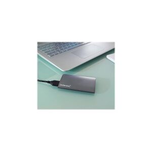 Intenso - Premium Edition - SSD - 256 GB - ekstern (bærbar) - 1.8 - USB 3.0 - antracit (sort)