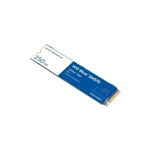 Western Digital WD Blue SN570 NVMe SSD WDS250G3B0C - SSD - 250 GB - intern - M.2 2280 - PCIe 3.0 x4 (NVMe)