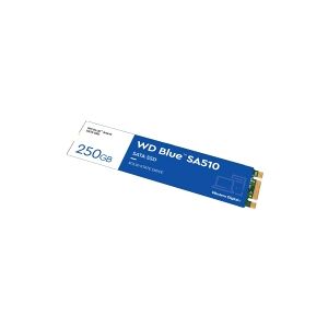 Western Digital WD Blue SA510 WDS250G3B0B - SSD - 250 GB - intern - M.2 2280 - SATA 6Gb/s - blå
