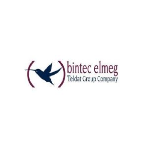 Bintec-elmeg IPSEC-VPN-CLIENT1, Microsoft Windows 10, 8, 7