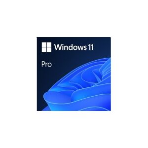 Microsoft MS 1x Windows 11 Pro 64-Bit DVD OEM English International (EN)