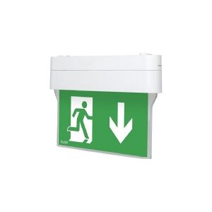 AWEX Emergency lighting Arrow N LED 1W 1h single purpose AT + PU31 PU41 white (ARN/1W/ESE/AT/WH)