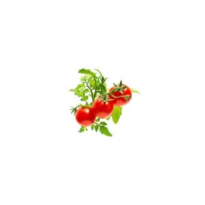 Click and Grow EMSA Click &  Grow Mini tomato