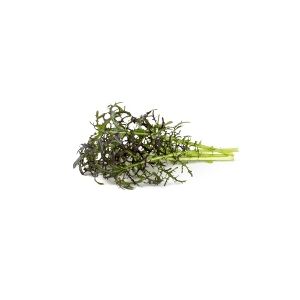 Click and Grow Click & Grow SGR77x3, Spiselig plante, Leaf mustard (Red Frill), Startsæt, 7 - 14 dage, 18 - 24 °C, 3 stk