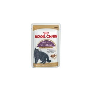 ROYAL CANIN British Shorthair pakiet 12x85g