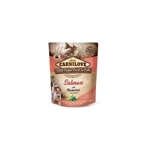 Brit Carnilove Pouch Pate Salmon with Blackberries f/puppies 300g - (12 pk/ps)