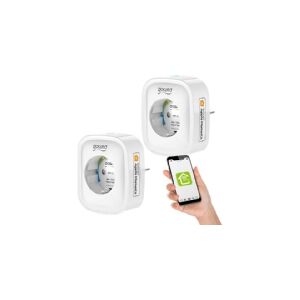 Gosund SP1-H WiFi Smart Nest, 2 pieces (HomeKit) (two-pack)