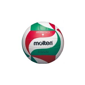 Molten Volleyball training V5M2500 synthetic. skin