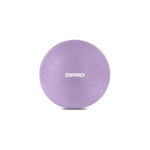 Zipro ZIPRO ZIPRO Anti-Burst træningsbold 65 cm lilla