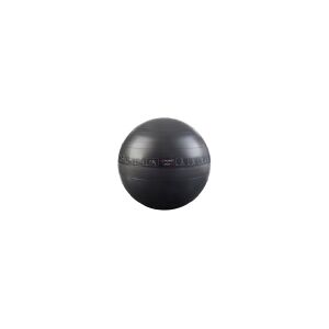 Pure2Improve   Exercise Ball   P2I200070   Juodas   65 cm