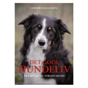 CSBOOKS Det gode hundeliv   Anders Hallgren