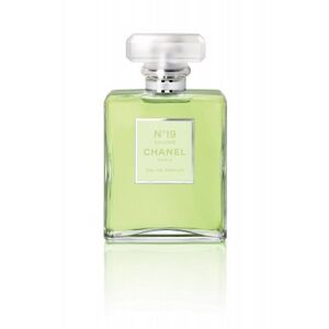 Chanel No.19 Poudré Edp 100ml