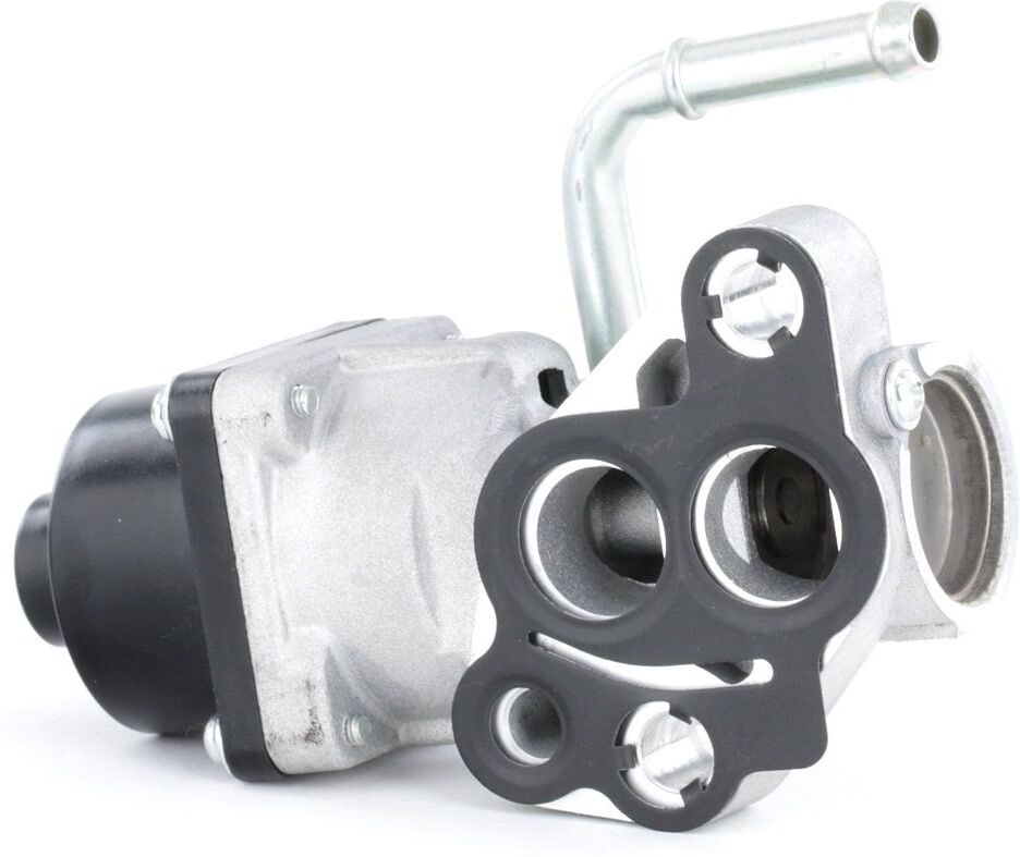 MAGNETI MARELLI EGR-Ventil 571822112108 AGR,EGR FORD,MAZDA,VOLVO,FIESTA V JH_, JD_,MONDEO III Kombi BWY,FOCUS II Kombi DA_,MONDEO IV Turnier BA7 MAGNETI MARELLI EGR-Ventil 571822112108 AGR,EGR FORD,MAZDA,VOLVO,FIESTA V JH_, JD_,MONDEO III Kombi BWY,FOCUS II Kombi DA_,MONDEO IV Turnier BA7