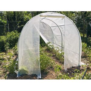 Dancover Polytunnel Drivhus 2x3x1,75m, 6m², Pe, Transparent