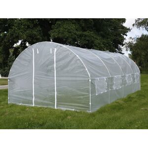 Dancover Polytunnel Drivhus 3x6x2m, 18m², Transparent