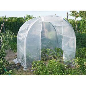 Dancover Polytunnel Drivhus 2x1,5x1,75m, 3m², Pvc, Transparent