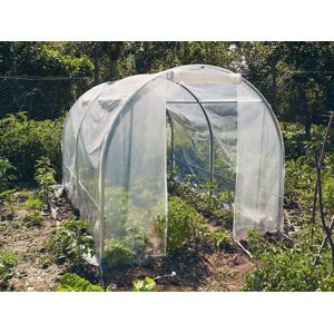 Dancover Polytunnel Drivhus 2x3x1,75m, 6m², Pvc, Transparent