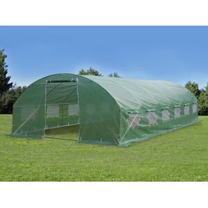 Dancover Polytunnel Drivhus 4x8x2m, 32m², Grøn