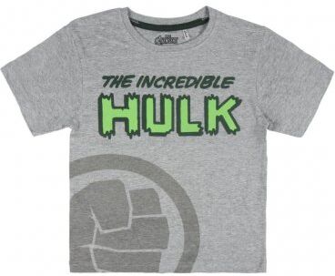 Avengers Assemble Hulk kortærmet t-shirt (3/4 ÅR - 98/104 CM) Avengers Assemble Hulk kortærmet t-shirt (3/4 ÅR - 98/104 CM)