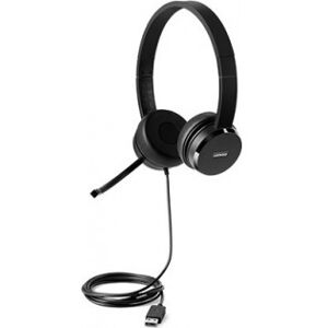 Lenovo 100 Stereo Usb Hovedtelefon-Mikrofon, Sort