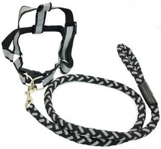 Hunde seletøj og snor med refleks - M, Sort Hunde seletøj og snor med refleks - M, Sort