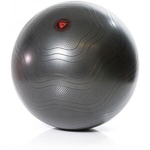 Gymstick Exercise Ball - Træningsbold, 55 Cm