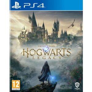 WB Games Hogwarts Legacy (Ps4)