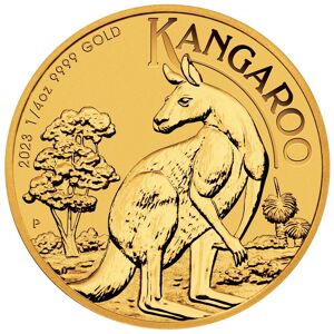 Australian Kangaroo 1/4 Oz Guldmønt (2023)