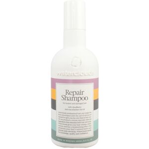 Waterclouds Repair Shampoo 250 ml