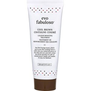 Evo Fabuloso Cool Brown Chataigne Cendré Colour Boosting Treatment 220 ml