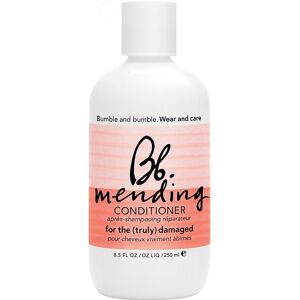 Bumble & Bumble Bumble And Bumble Mending Conditioner (Outlet) 250 ml