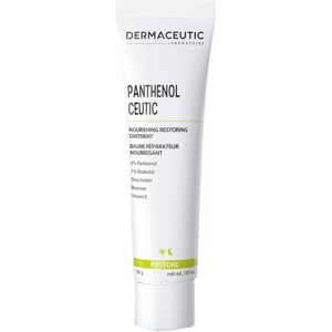 Dermaceutic Panthenol Ceutiic Nourishing Restoring Ointment 30 g