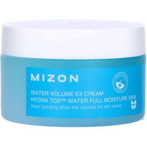 Mizon Water Volume Ex Cream 100 ml