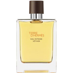 Hermes Terre d'Hermès Eau Intense Vetiver EDP 100 ml