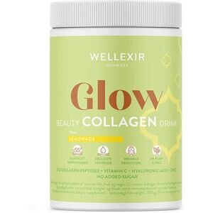 Wellexir Glow Beauty Drink Lemonade 360 g