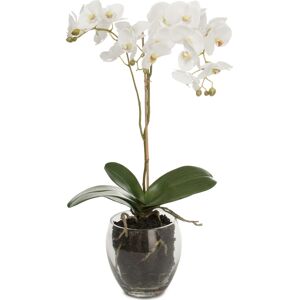No-Name Orkide I Glasskål Hvid. H 65 Cm