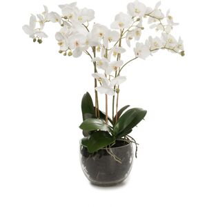No-Name Orkide I Glasskål Hvid. H 70 Cm