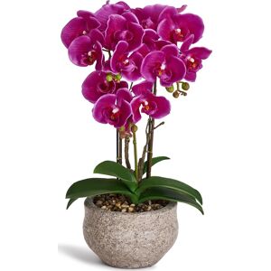 4EverGreen Orkide, 42 Cm, Lilla