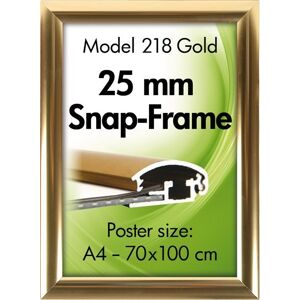 DSI Alu Plakatramme, Snap-Frame, 50x70 Cm, Blank Guld