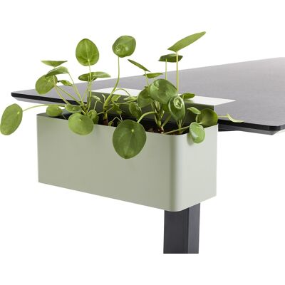 Apto Blomsterkasse, Grøn Apto Blomsterkasse, Grøn
