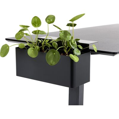 Apto Blomsterkasse, Sort Apto Blomsterkasse, Sort