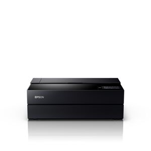 Epson Surecolor Sc-P900 Fotoprinter