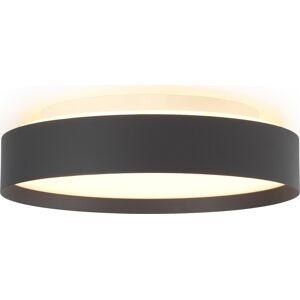 Halo Design Blacklight Plafond Ø30 Cm, Sort Halo Design Blacklight Plafond Ø30 Cm, Sort